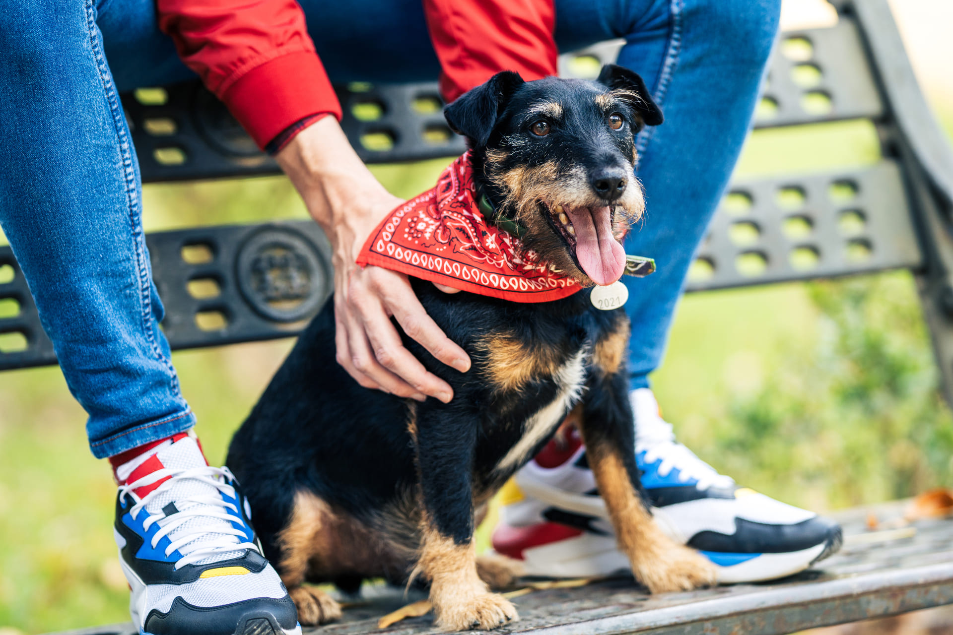 Consejos para cuidar la salud de tu mascota