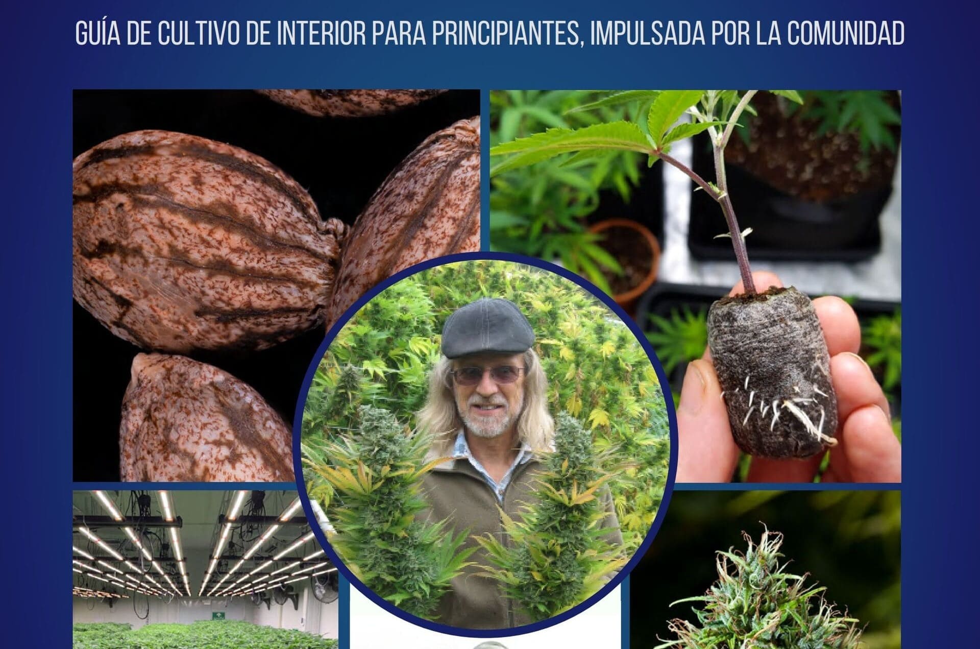 Jorge Cervantes lanza libro digital gratuito para enseñar a cultivar cannabis de alta calidad
