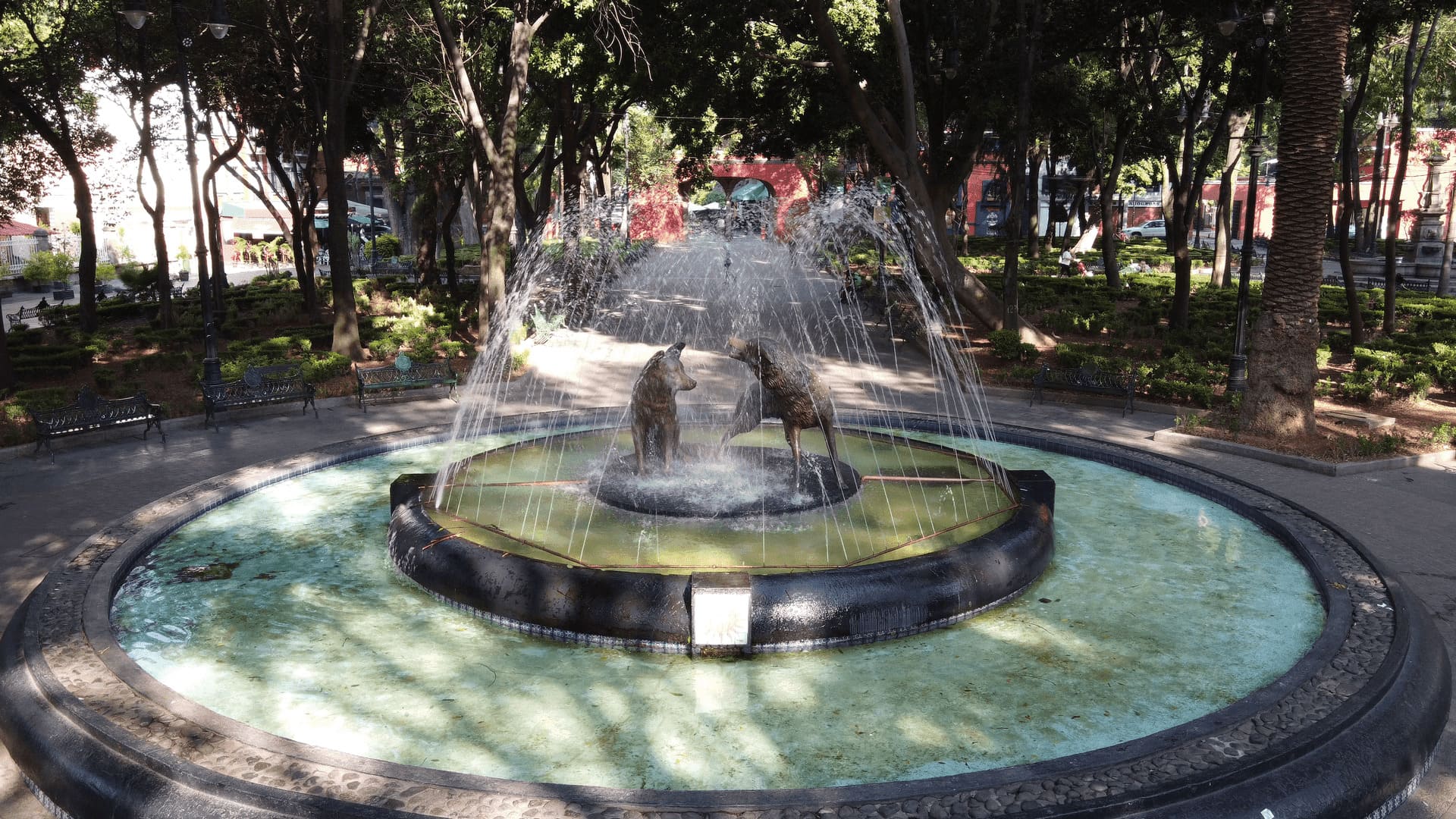 Coyoacán: Un Oasis de Cultura y Tradición en el Corazón de la Ciudad