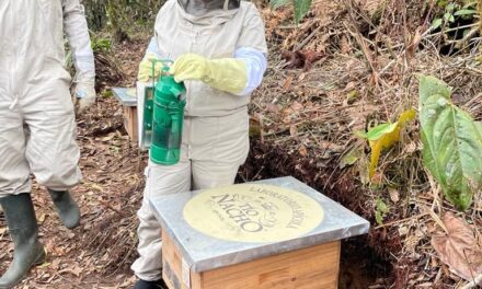 Tío Nacho refuerza su compromiso con la protección de las abejas