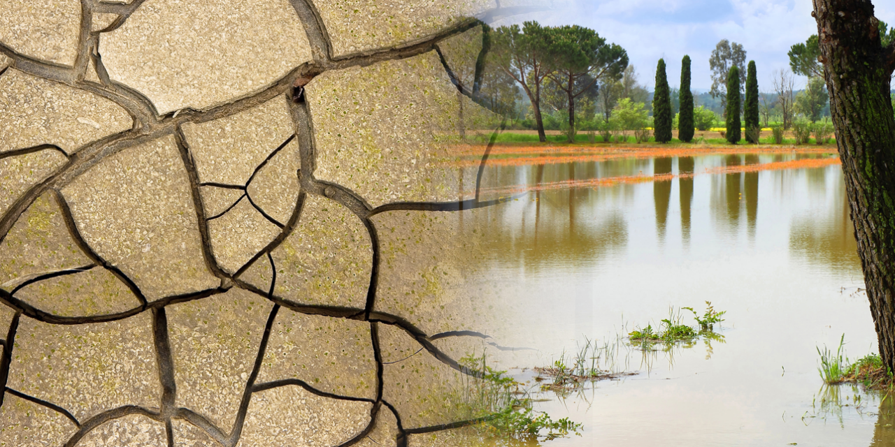 ¡Alarmante! Veolia Water Technologies Afirma que “Serían Necesarios Varios Huracanes para Aliviar Escasez de Agua”