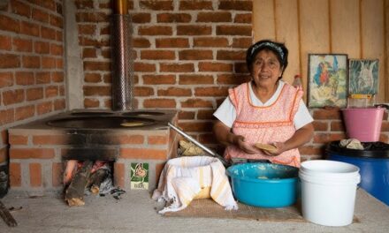 ECOLIFE Conservation celebra 16,000 estufas que transforman vidas y protegen el ambiente